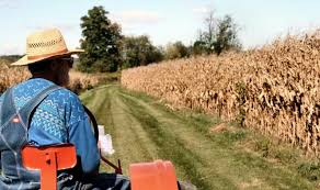 Subventii apia 2016 pe hectar plati. Update Apia Sute De Mii De Fermieri Romani Vor Fi Afectati De Intarzieri La Plati Ministru