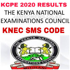 President is that it is a national election. How To Receive Check Kcpe 2020 Results Knec Sms Code 20076 And Online Process Jambo News