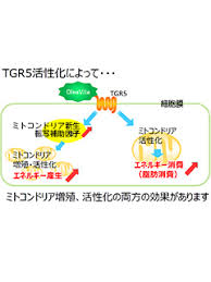 オリーブ オリーブ葉 なら Oleavita オレアビータ 株式会社ニュートリション アクト 健康美容expo