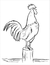 Rooster coloring page from chicken category. Rooster Coloring Pages Coloringbay