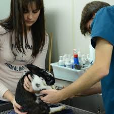 We also offer house calls the staff of the avian and exotic animal clinic includes veterinarians, skilled registered veterinary technicians, client care specialists and veterinary assistants. Avian Exotic Pet Care In Baltimore