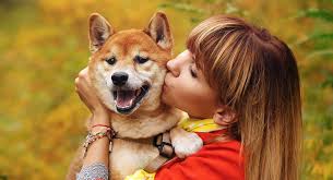 Check spelling or type a new query. Do Dogs Like Kisses What Your Pet S Behavior Might Be Telling You