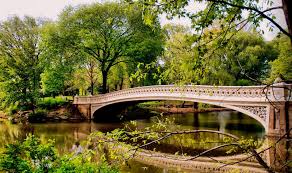 Central Park Central Park Historia De Nueva York Nueva York