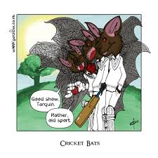 Cricket bat cartoon 3 of 3. Cricket Bats Von Gothink Sport Cartoon Toonpool