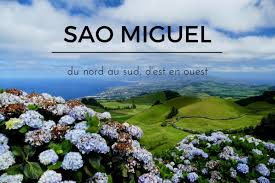 L'archipel des açores est un croisement unique entre les courants riches en aliments venus du nord et je vous propose ce lien du site de l'office du tourisme des açores qui recense tous les spots et. Sao Miguel Aux Acores Visites Rando Baignade Miradouros Les Acores Tourisme Durable Voyage
