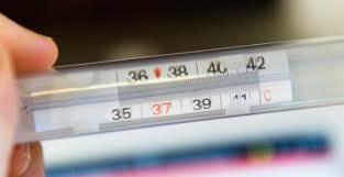 Check spelling or type a new query. Contoh Surat Izin Sakit Lengkap Sekolah Kerja Kuliah