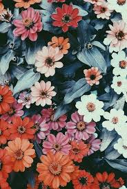 Maybe you would like to learn more about one of these? Pin By Stina On Hintergrund Flower Background Wallpaper Flower Backgrounds Flower Phone Wallpaper