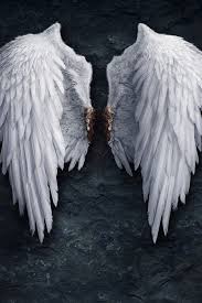 Black And White Wings Background Pvnsp15 S Image Lucifer Wings Wings Wallpaper Angel Wallpaper