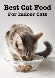 Best Cat Food For Indoor Cats Healthy Cat Food Cat Food Brands Cat Nutrition