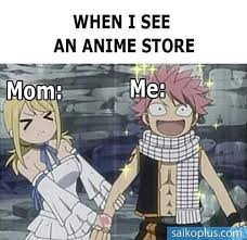 Memes Fairytail Animememe Anime Funny Anime Pics Anime Funny Fairy Tail Meme