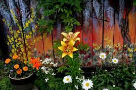 I use it as a background for flowers, water. 15 Stunning Fence Painting Designs To Inspire Your Own Backyard