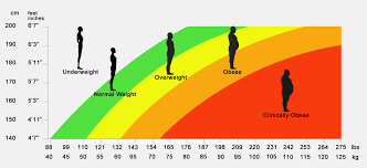 Bmi Calculator Dr Workout