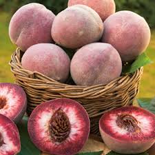 Indian free peach will grow to be about 15 feet tall at maturity, with a spread of 15 feet. Dwarf Peach Blackboy Indian Garden Express