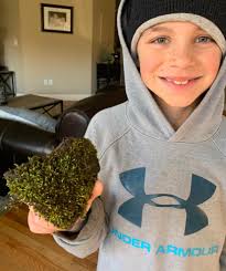 I love rocks as much as I love moss, am I wrong for this?  https://www.instagram.com/reel/DEaFP4GMmAS/?igsh=b2dmdDN0NHh6Ymx0