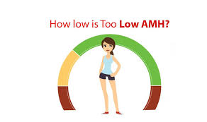 low amh levels what is low amh test amh level test