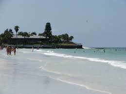 Snorkeling Point Of Rocks Siesta Key Florida