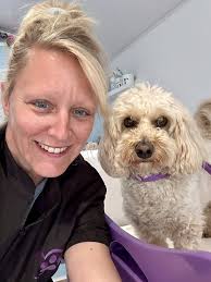 A well deserved refreshment break for our scrumptious Marcel Murphy Teddy  Bertie Nellie Ayrton Senna and Jess 💜