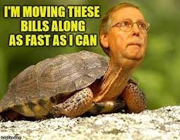 The Tortoise The Hair Nearly All Men Can Stand Adversity But By Stephen P Watkins Medium