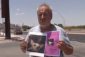 Lost and found opens new window. Arizona Man Offering One Bedroom Home As Reward For Missing Dog
