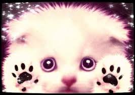 Résultat de recherche d'images pour "trop mimi"