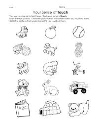 Touch Worksheet Crafts And Worksheets For Preschool Toddler And Kindergarten Senses Preschool Kindergarten Worksheets Senses