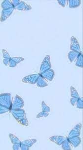 Cute desktop wallpaper laptop wallpaper aesthetic iphone wallpaper aesthetic pastel wallpaper scenery wallpaper pc desktop wallpaper wallpaper how thin, delicate butterfly wings keep from overheating. Pin By Gia On M Y P I N S Edgy Wallpaper Butterfly Wallpaper Aesthetic Iphone Wallpaper