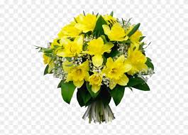 Bouquet de fleurs de lys de la vallée et feuille de papier vide sur la table rustique d'en haut, belle carte vintage, vue de dessus, la copie espace pour le texte, à plat muguet hand drawn illustration réaliste Tube Bouquet De Jonquilles Bouquet Jonquille Et Rose Blanche Free Transparent Png Clipart Images Download