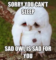 Sorry Memes Collection For You Top Sorry Meme Tricks By Stg