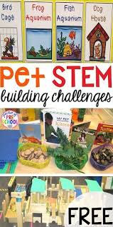 #3 warmup activities for kids: 43 Pet Activities Pre K Preschool Ideas Pets Preschool Pets Preschool Theme Preschool