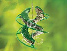 DNA Songbird Seed Feeder - Cascade Wild Bird Feeders