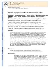 Check spelling or type a new query. Pdf Possible Angiogenic Roles For Claudin 4 In Ovarian Cancer