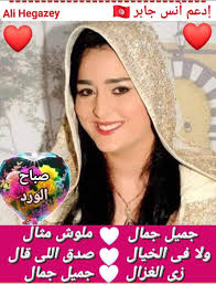 بطبعنا نطمح للمزيد يا انس السعادة 😊 كان الله بعونك و ثبت خطاك امين  🤲🤞🇹🇳❤️