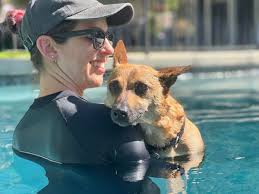 Scratch This: Meet the Muttley life coaches who help humans with their  barking bowsers