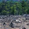 Pencemaran lingkungan merupakan masuknya sebuah zat atau energi atau makhluk hidup ke dalam lingkungan tersebut yang dapat merusak nilai fungsi dan. 1