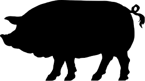 Pig Silhouette Clipart Best Pig Silhouette Silhouette Free Silhouette Clip Art