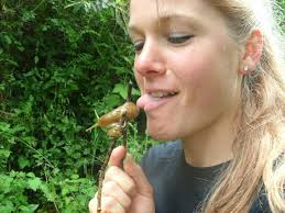 UC Santa Cruz scientists have slithered into the history books with the  first complete genome of a banana slug! The team, led by Professor of  Biomolecular Engineering Russell Corbett-Detig, has completed the