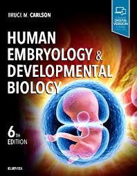 Image result for Embryology