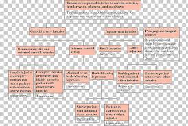 External Carotid Artery Head And Neck Anatomy Common Carotid