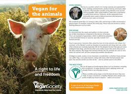 Pin By Love Animals On Animal Advocacy Animal Action Animal Advocacy Yulin Dog Festival