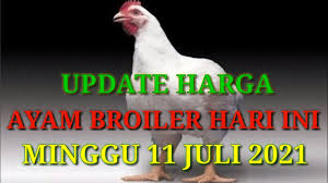 We did not find results for: Harga Ayam Broiler Hari Ini Minggu 11 Juli 2021 Youtube