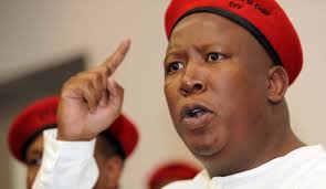 The latest tweets from @julius_s_malema Xenophobia Malema Heads To Zimbabwe Lusaka Voice