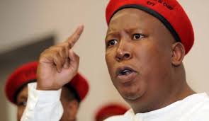 Enjoy the top 10 famous quotes, sayings and quotations by julius malema. Xenophobia Malema Heads To Zimbabwe Lusaka Voice