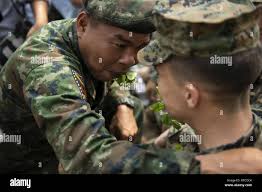 Cobra gold 19 hi-res stock photography and images