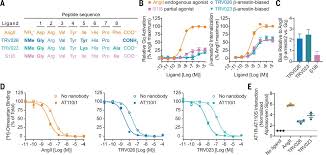Angiotensin And Biased Analogs Induce Structurally Distinct Active Conformations Within A Gpcr Science