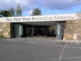 Check spelling or type a new query. New York Botanical Garden Wikidata