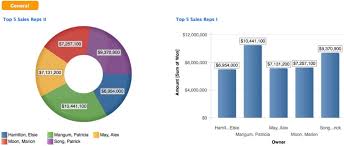 Pie And Donut Charts In Report Editor Documentation