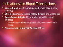 As a nurse you will be transfusing blood and you will want to know how to properly perform this procedure. Ppt Canine Feline Blood Transfusions Powerpoint Presentation Free Download Id 1899393