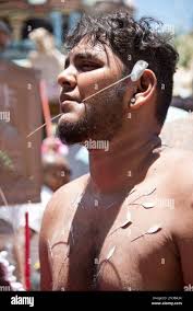 Thaipoosam Cavadee in Mauritius: Tamil ritual & penance. Devotees pierce  cheeks and tongue and carry 'Cavadee'