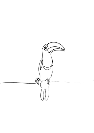 Toucan With Images Animal Line Drawings Outline Art Art