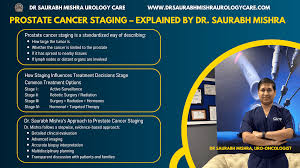 Image result for Prostate Cancer Staging